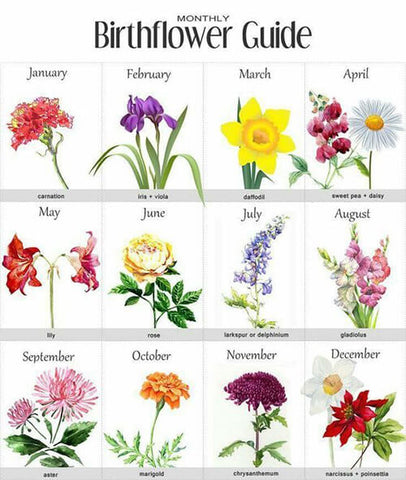 May Birth Flower, What's your birth flower?