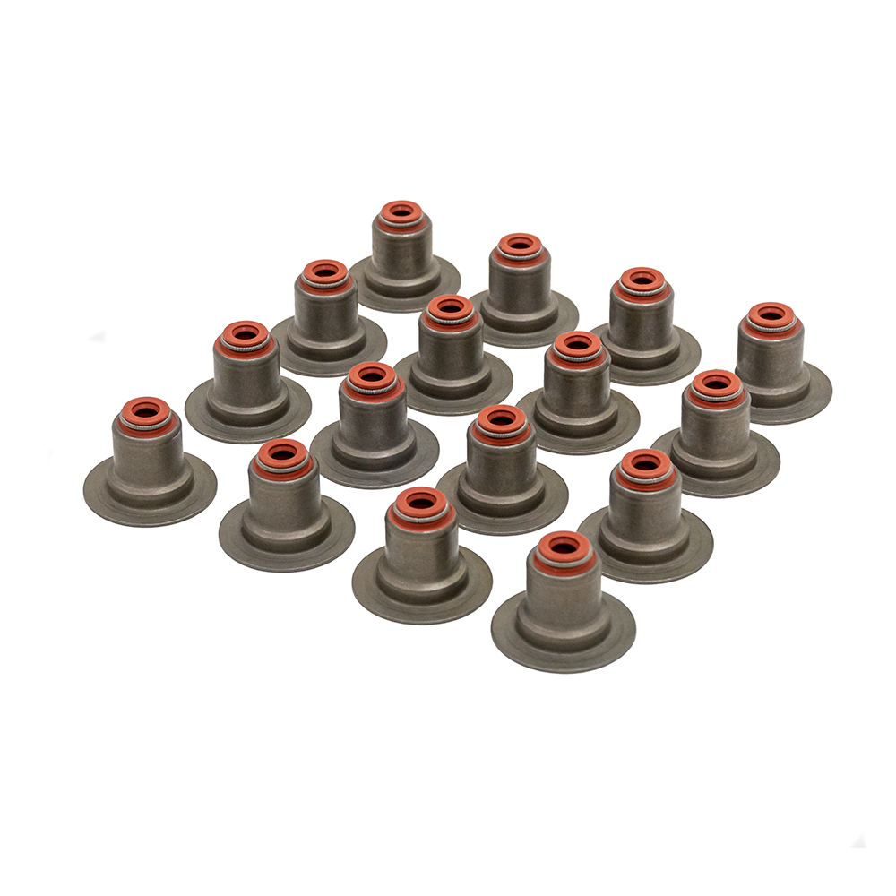 LTG Valve Seal Set