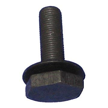 Camshaft Bolt