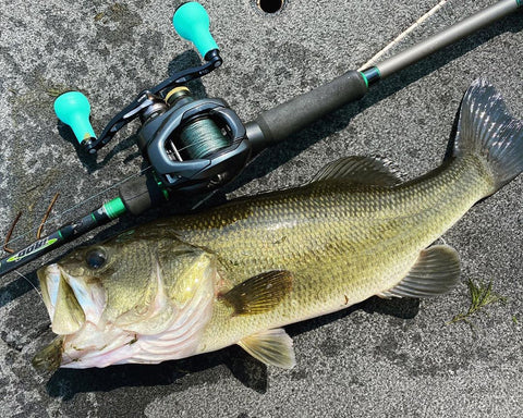 Gomexus Bass Fishing Handle Feedback