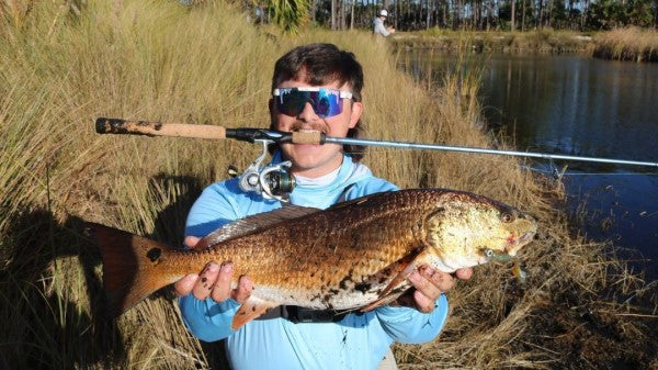 Hunter Nodae 1 Gomexus prostaff Hunter Nodae