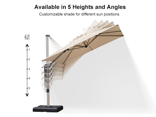 PURPLE-LEAF-Available-In-Five-Height-and-Angles