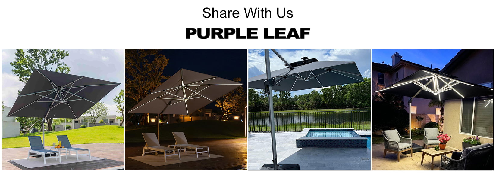 PURPLE-LEAF-Customer-Reviews