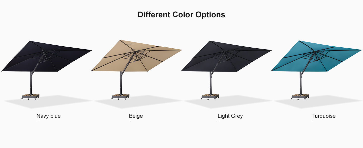 PURPLE-LEAF-Differnet-Color-Options