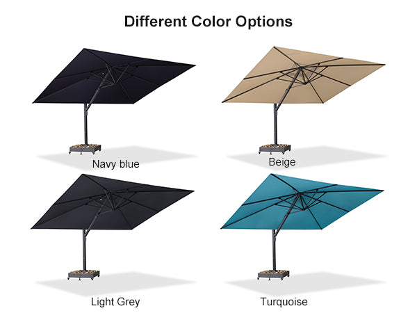 PURPLE-LEAF-Differnet-Color-Options