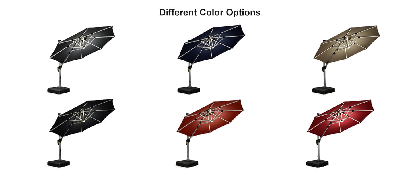PURPLE-LEAF-Colors-Selection