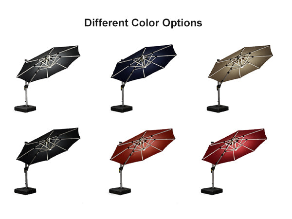 PURPLE-LEAF-Colors-Selection