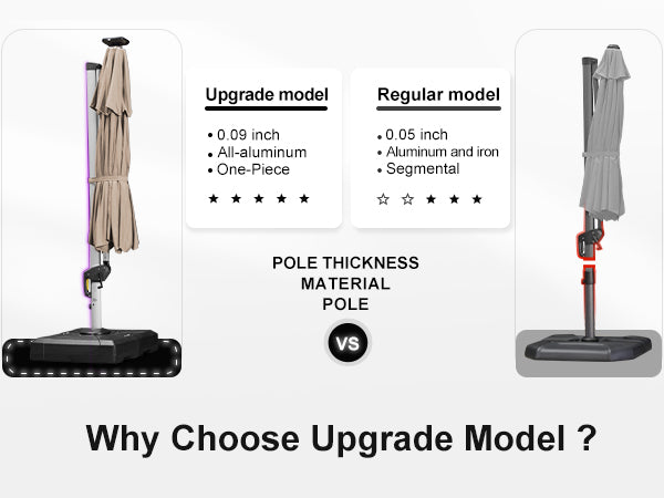 PURPLE-LEAF-Upgrade-Model