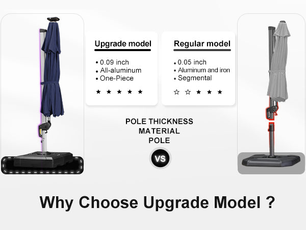 PURPLE-LEAF-Upgrade-Model