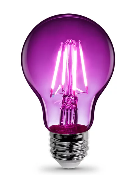 Feit Electric 4.5Watt (40W Equivalent) Dimmable Purple Filament Clear Glass, A19 E26 LED Light Bulb Damaged Box