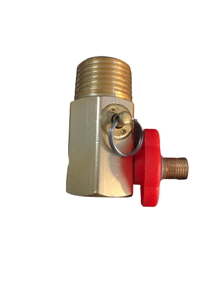 Manifold Safety Check Valve