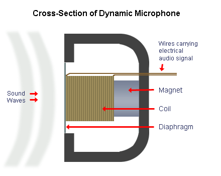 Cross section Image of a Dynamic Mic