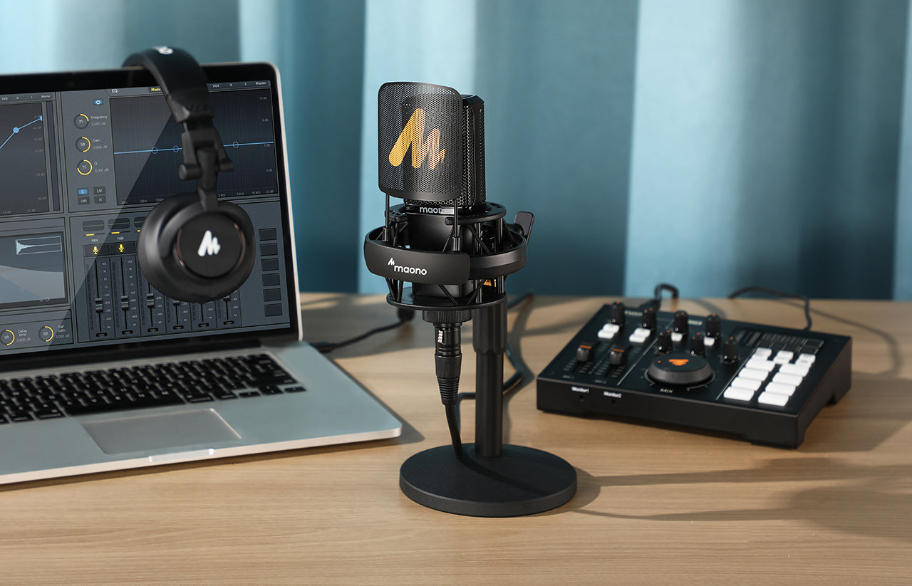 Series Studio-Quality XLR Microphone