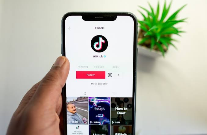 tikmic microphone for tiktok