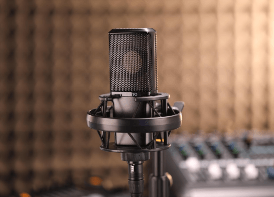 PM500 XLR Microphone