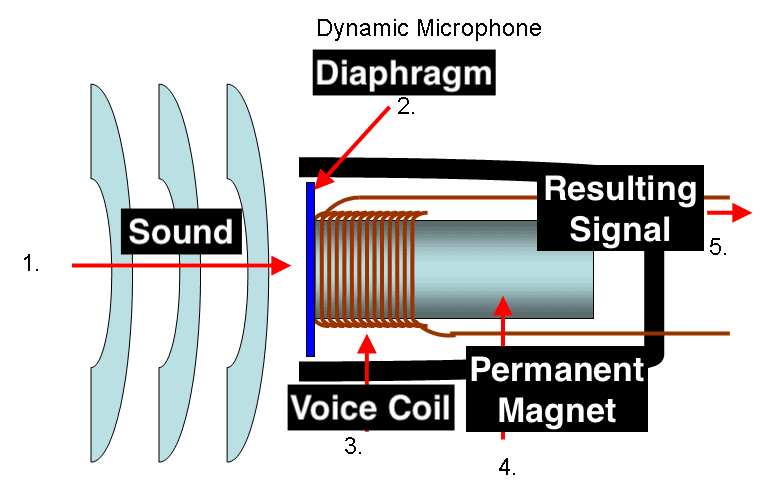 A diagram of how does a mic for recording video work
