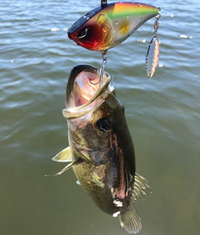 lipless crankbait