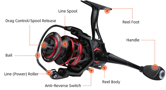 Spinning Reel 101 - What Are The Visible Parts Of A Spinning Reel – Runcl