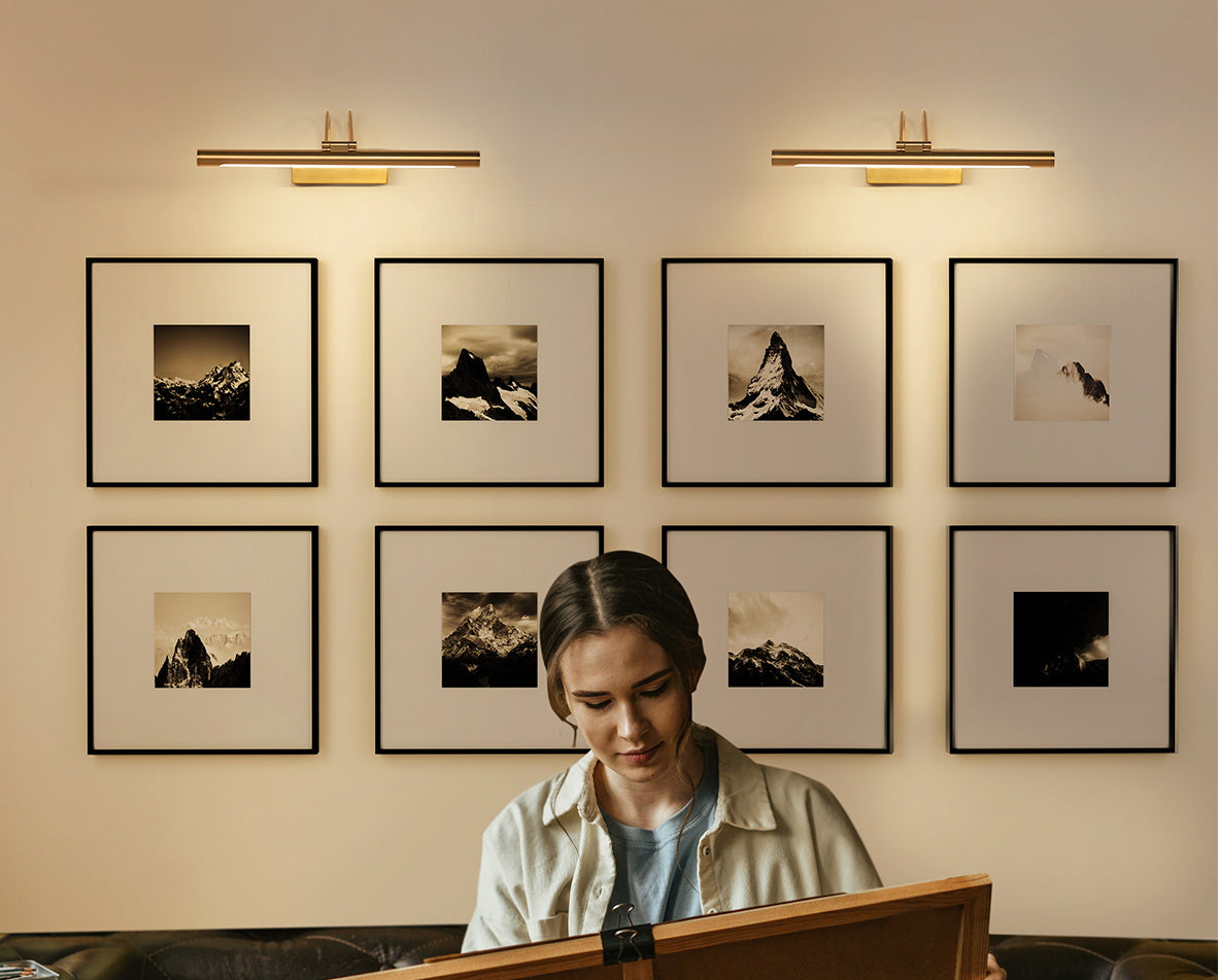 brass led picture light