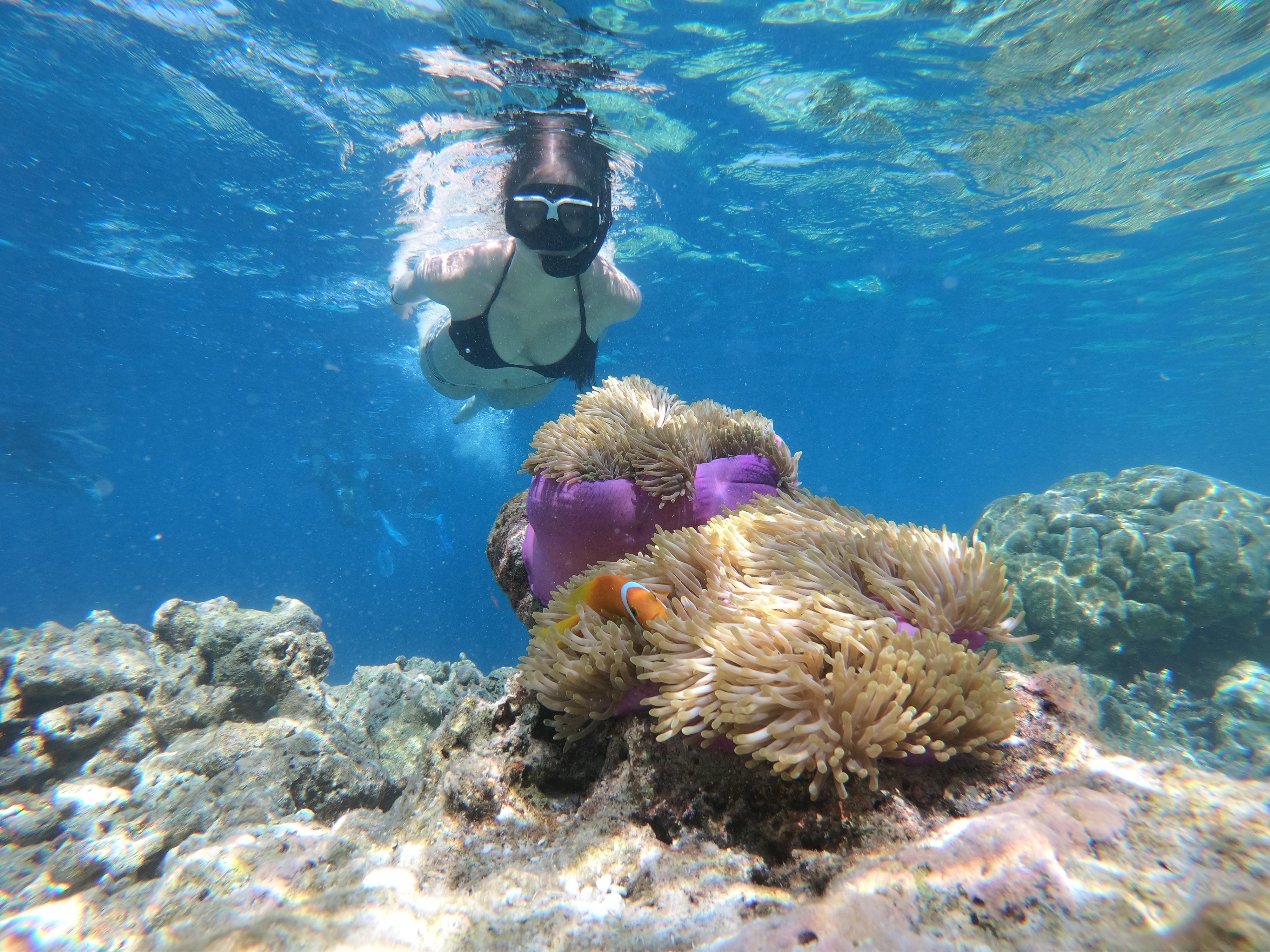 Why snorkeling is dangerous than scuba diving