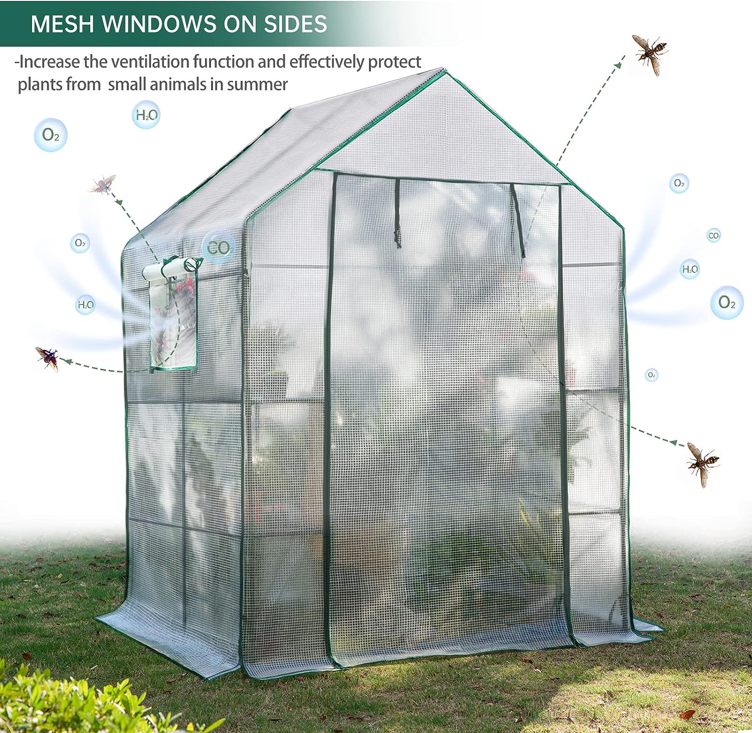 Greenhouses for Outdoors, Portable Walk in Greenhouse for Garden Plants That Need Frost Protection and Away from Pests and Animals