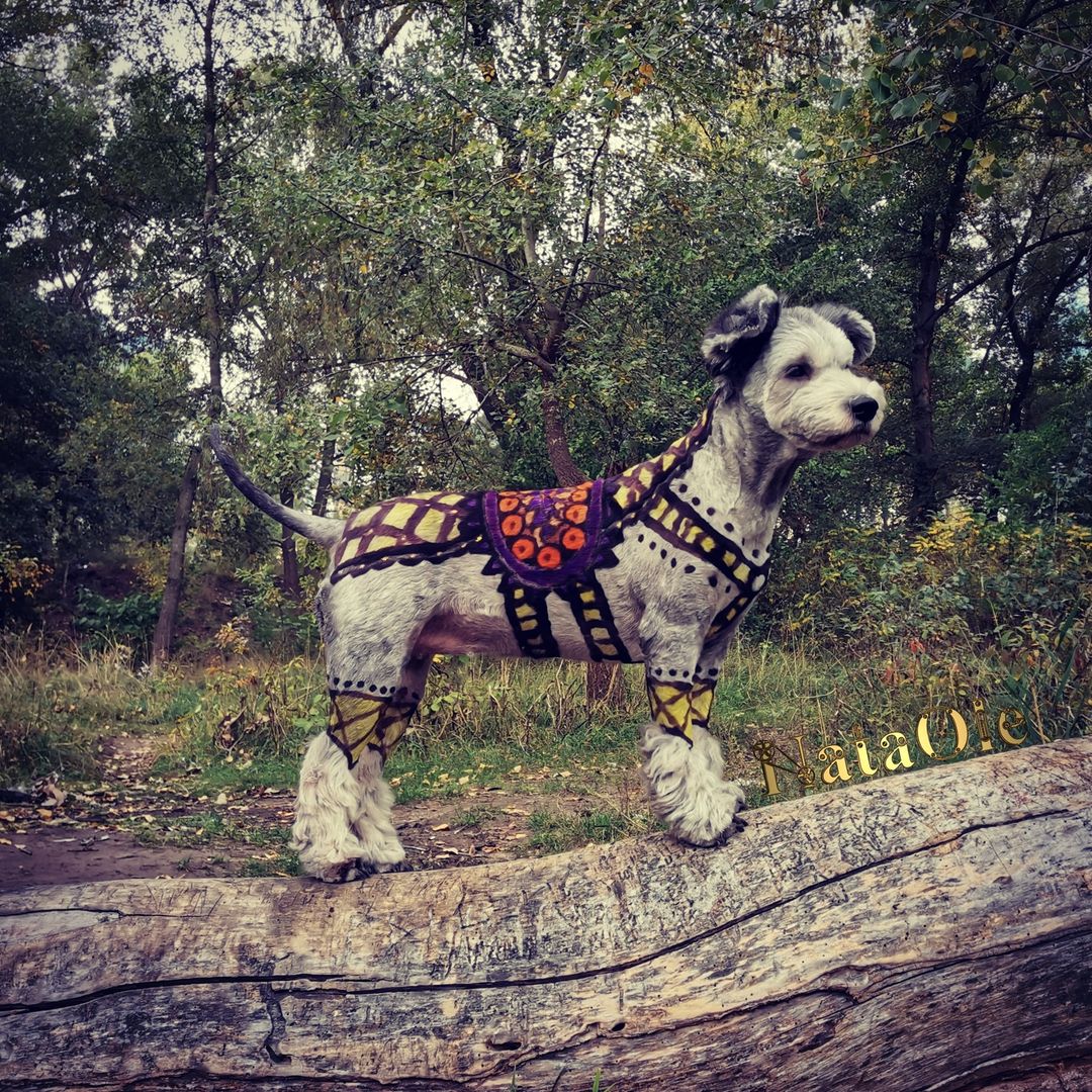 safe pet dye grooming