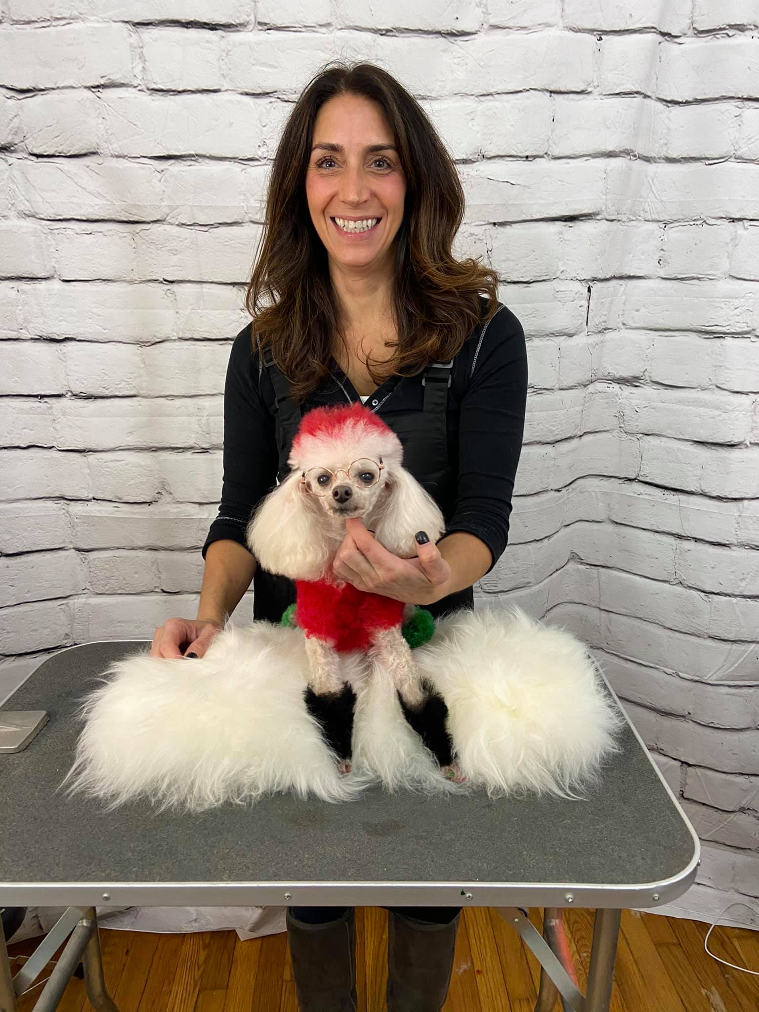 Tutorial de peluquería canina navideña de opawz.