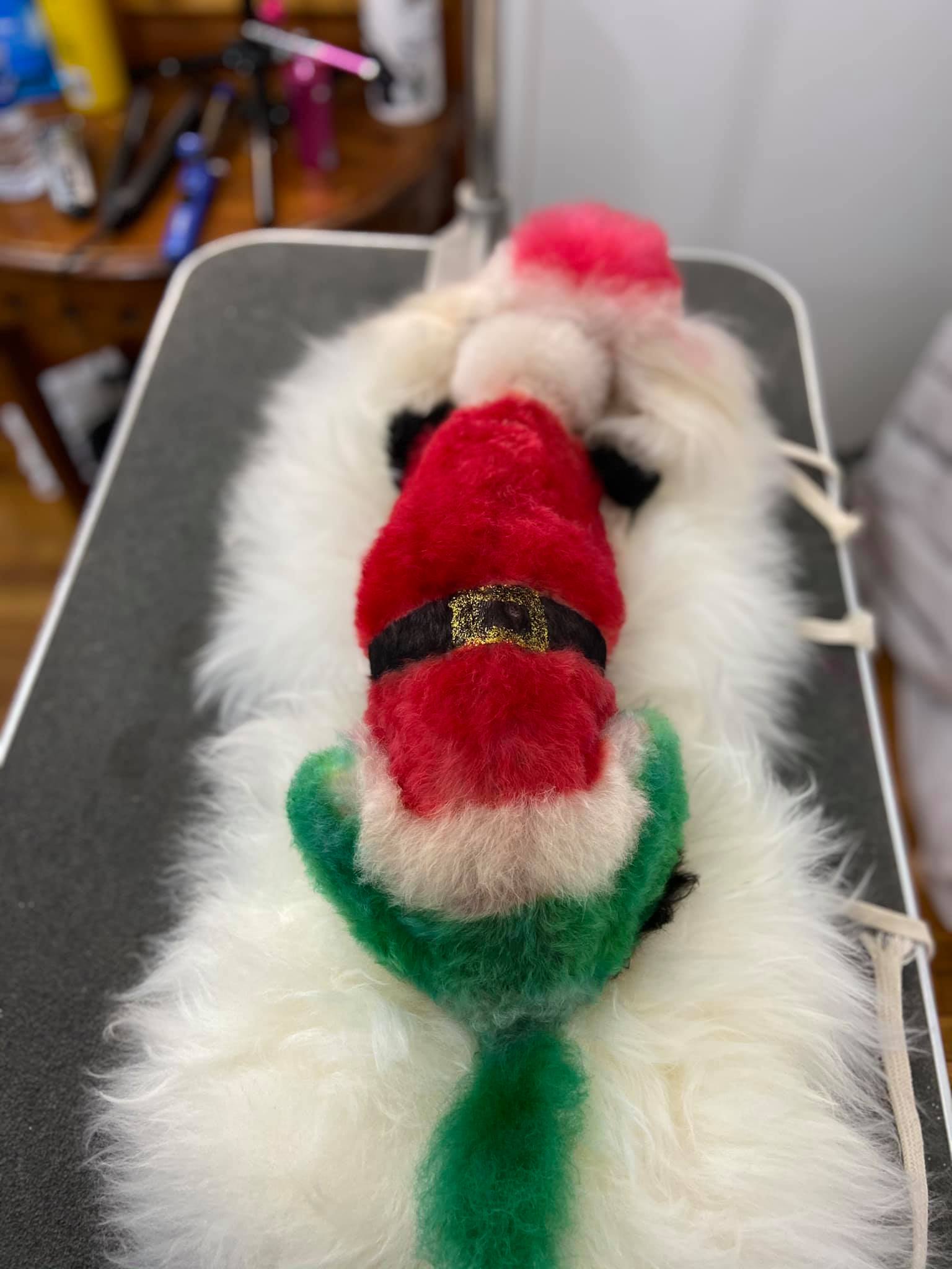 OPAWZ tinte para el cabello seguro para mascotas peluquería canina navideña