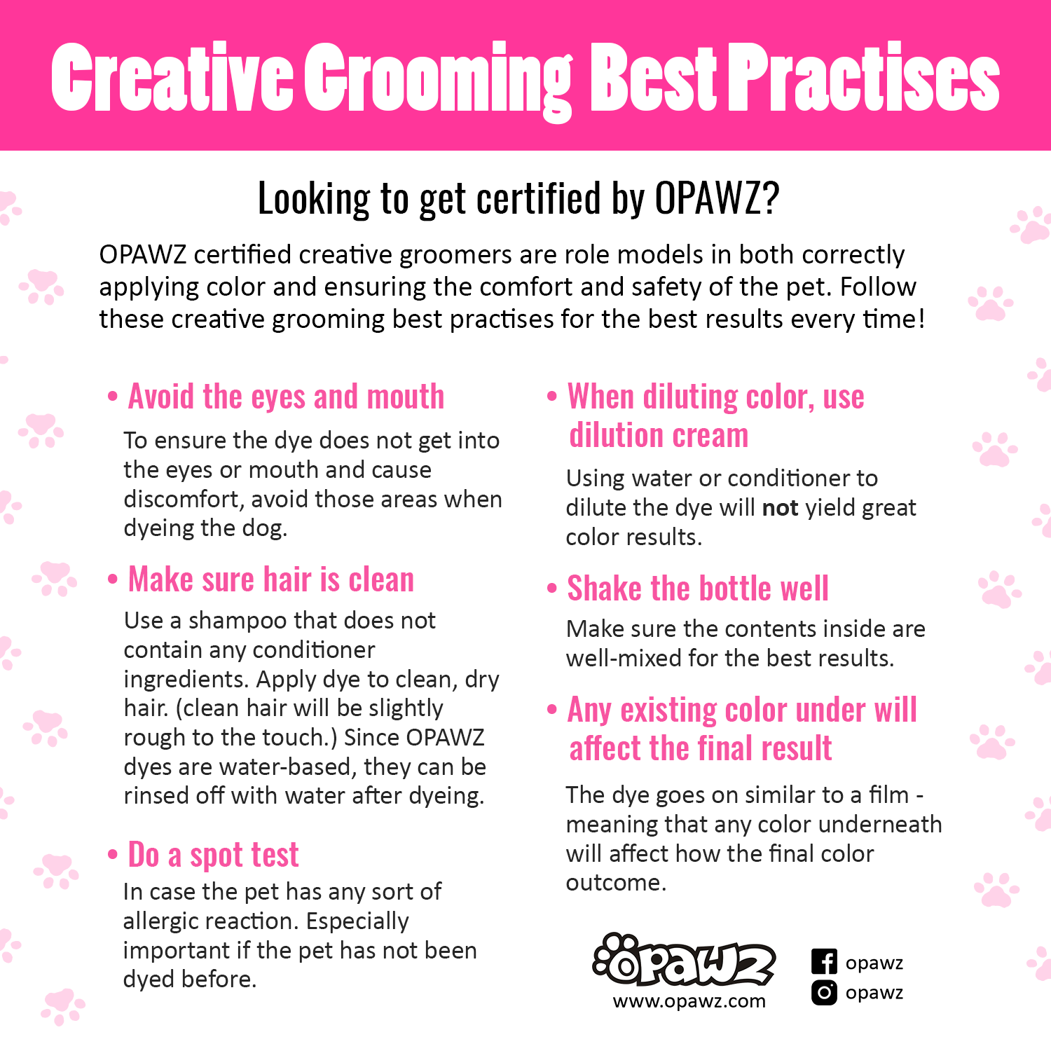 pet safety creative grooming practises