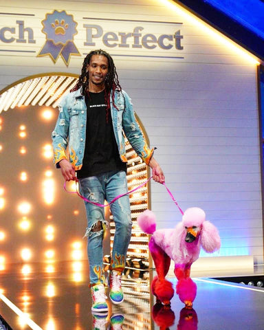 pet-safe dog hair color grooming