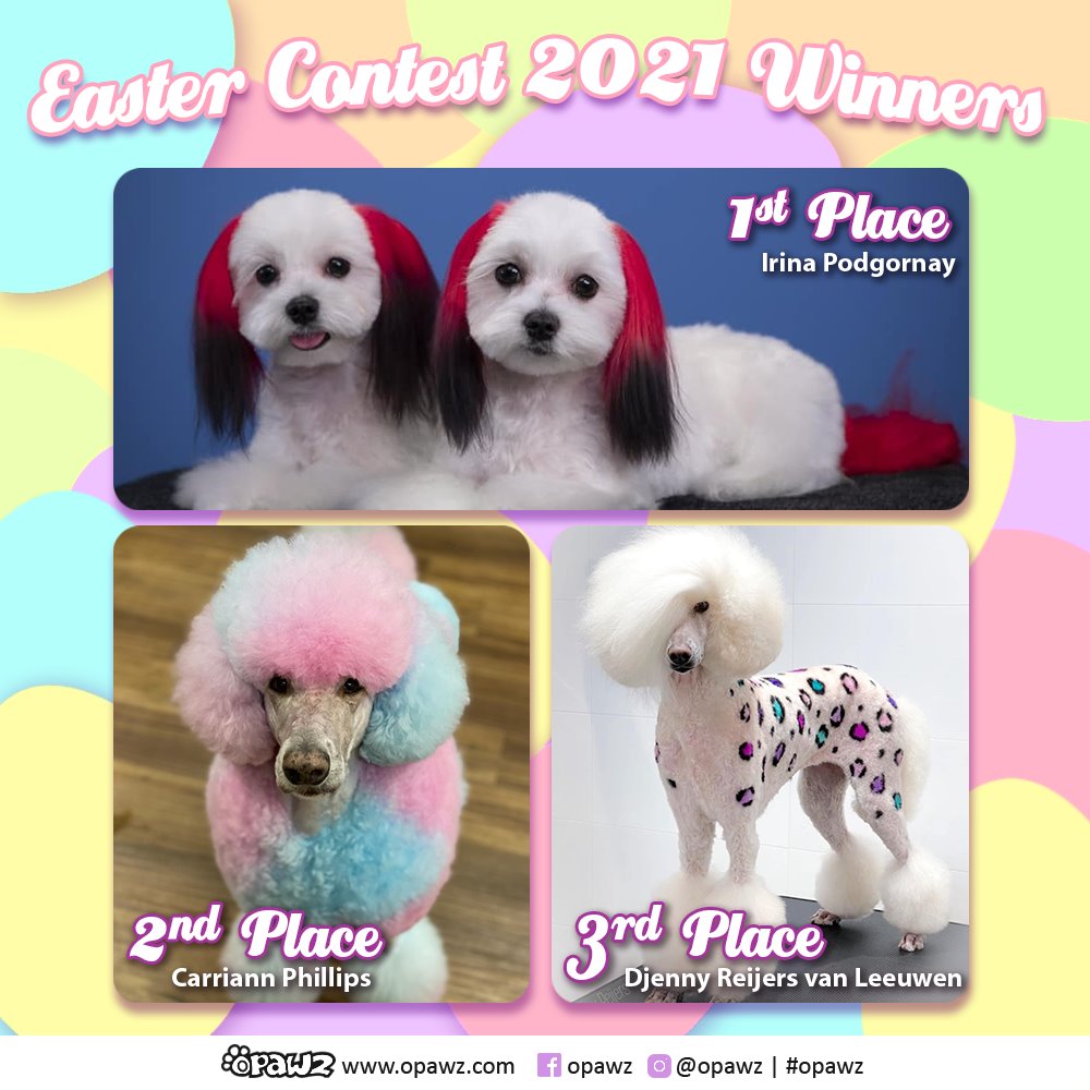 Concurso de peluquería canina de San Valentín
