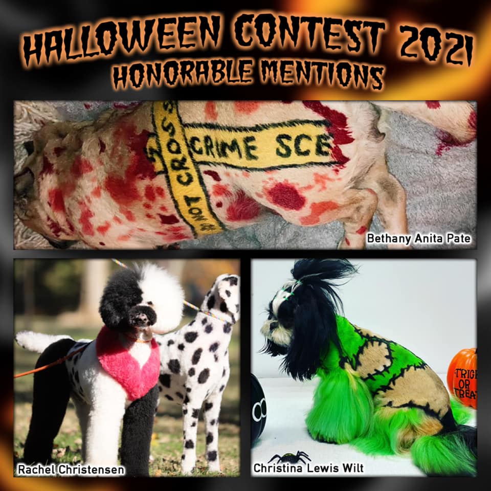 creative dog grooming contest