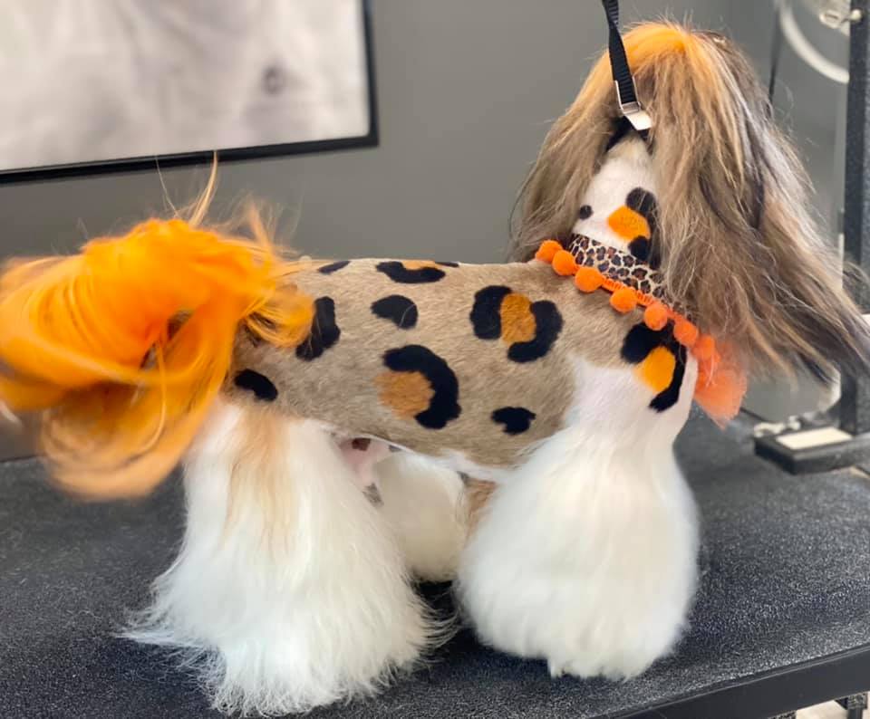 teinture pour chien en toute sécurité toilettage créatif pour animaux de compagnie