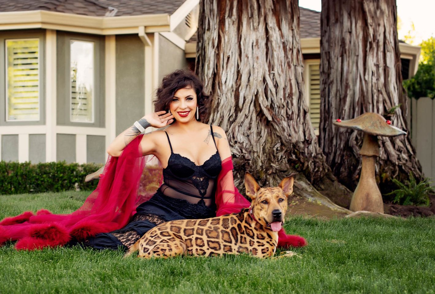 safe pet hair dye for dog grooming