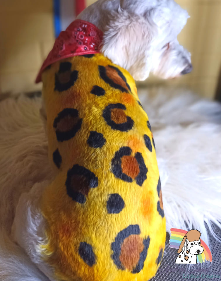 tinte seguro para mascotas peluquería canina creativa