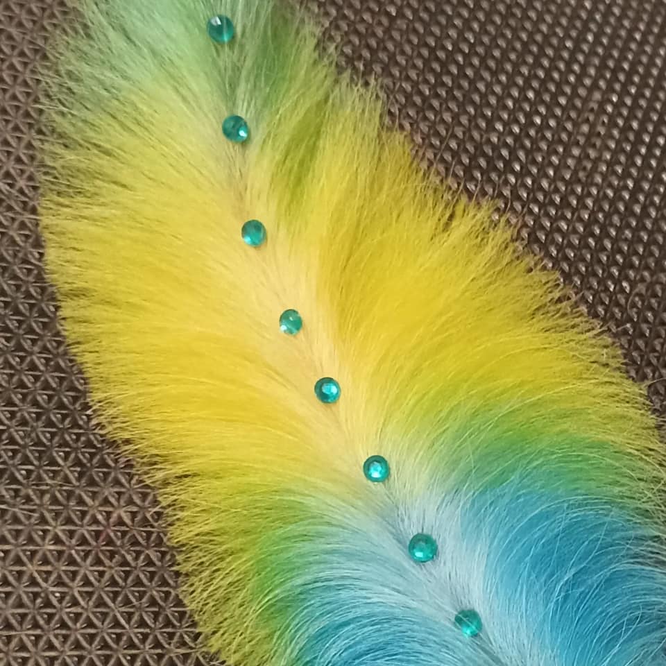 Concurso de peluquería canina con tinte seguro para mascotas.