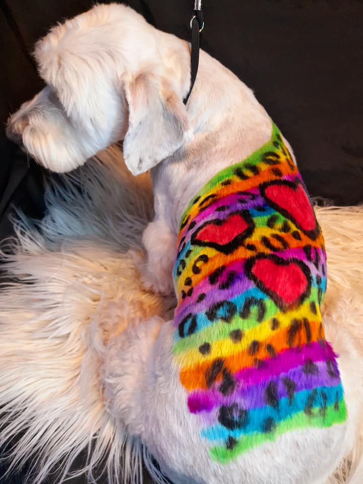 Lisa Frank safe hair dye dog grooming