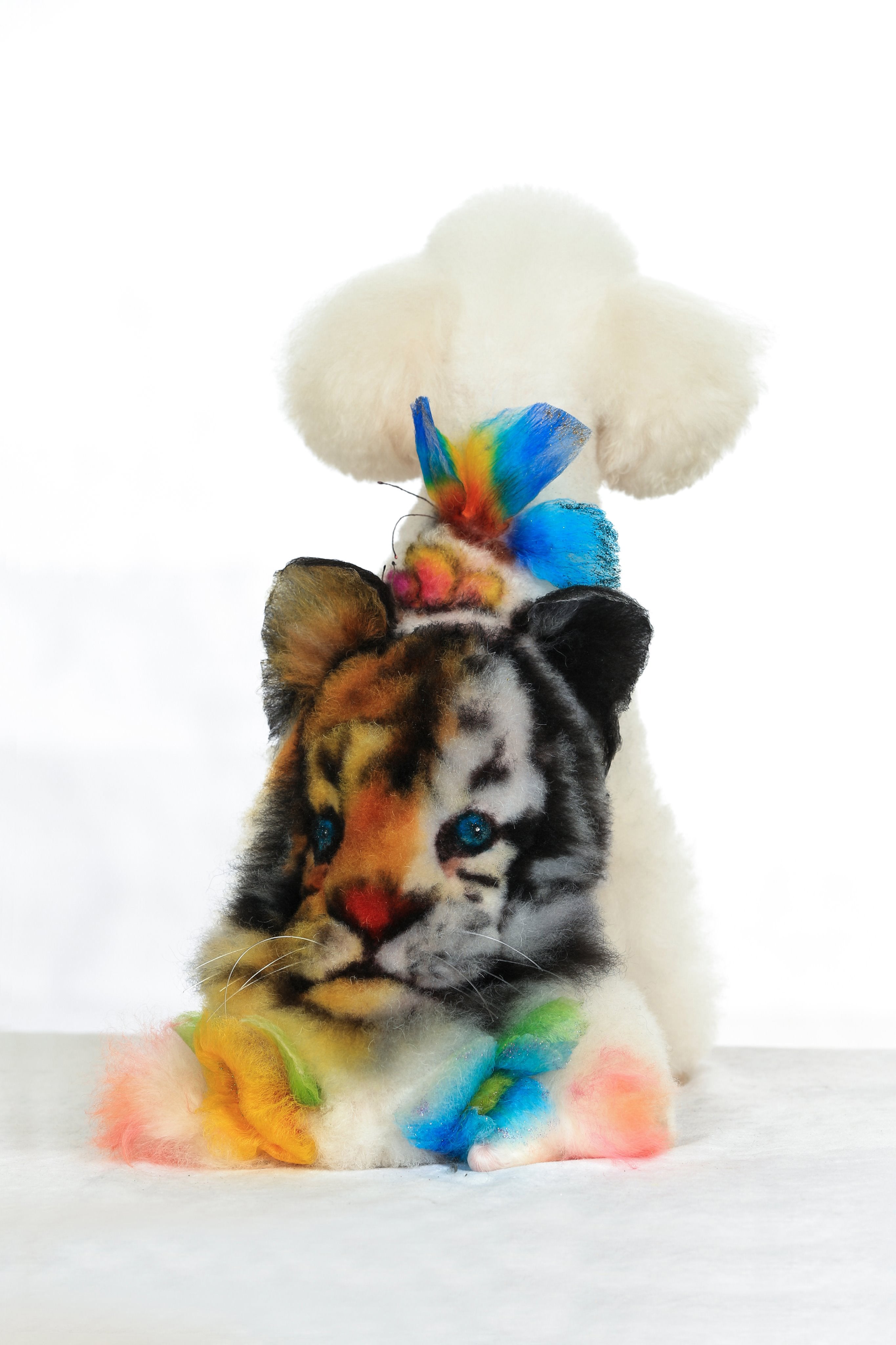 toilettage professionnel et créatif pour chiens réalisé Betty Huang