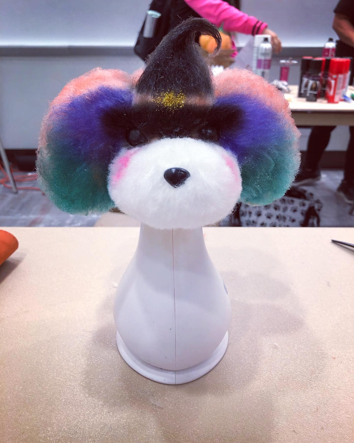 creative grooming contest