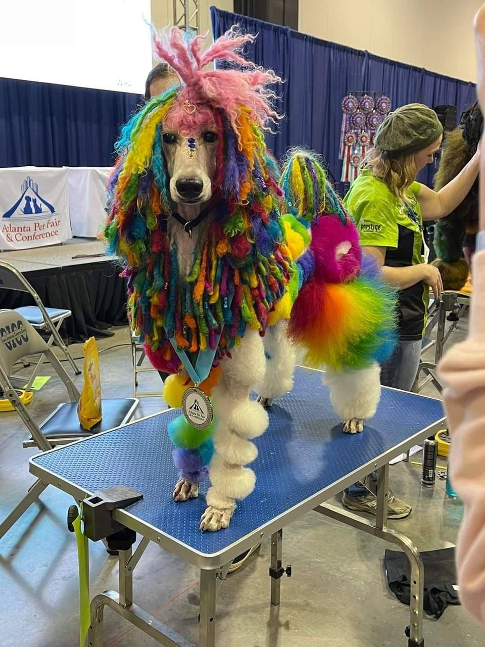 Rainbow dog cords with OPAWZ dog fur dyes