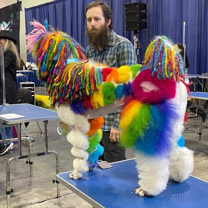 Rainbow dog cords with OPAWZ dog fur dyes