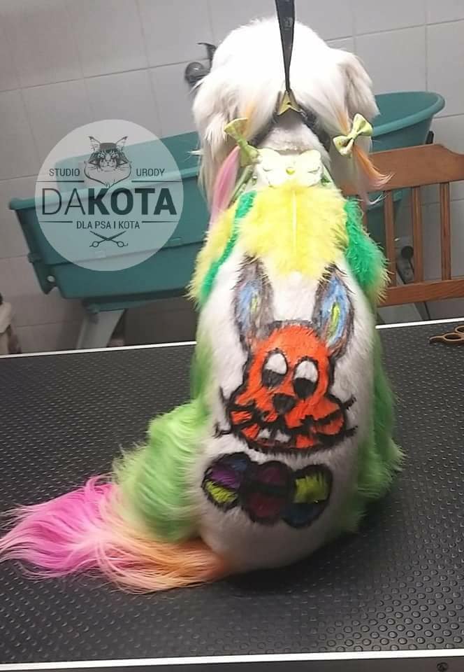 tinte para perros seguro para el cuidado creativo de mascotas