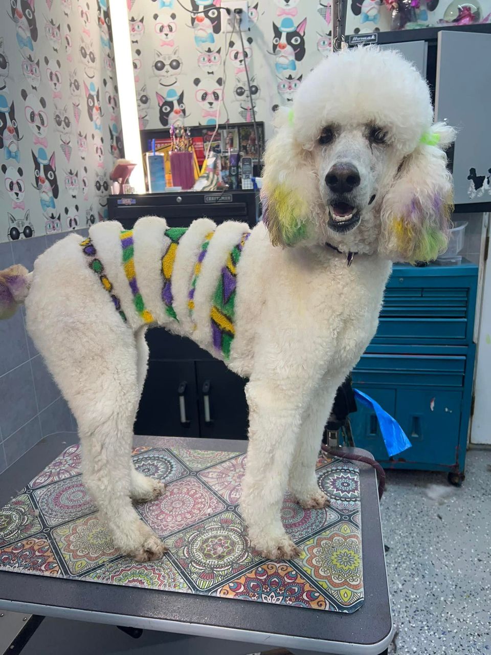 tinte para perros seguro