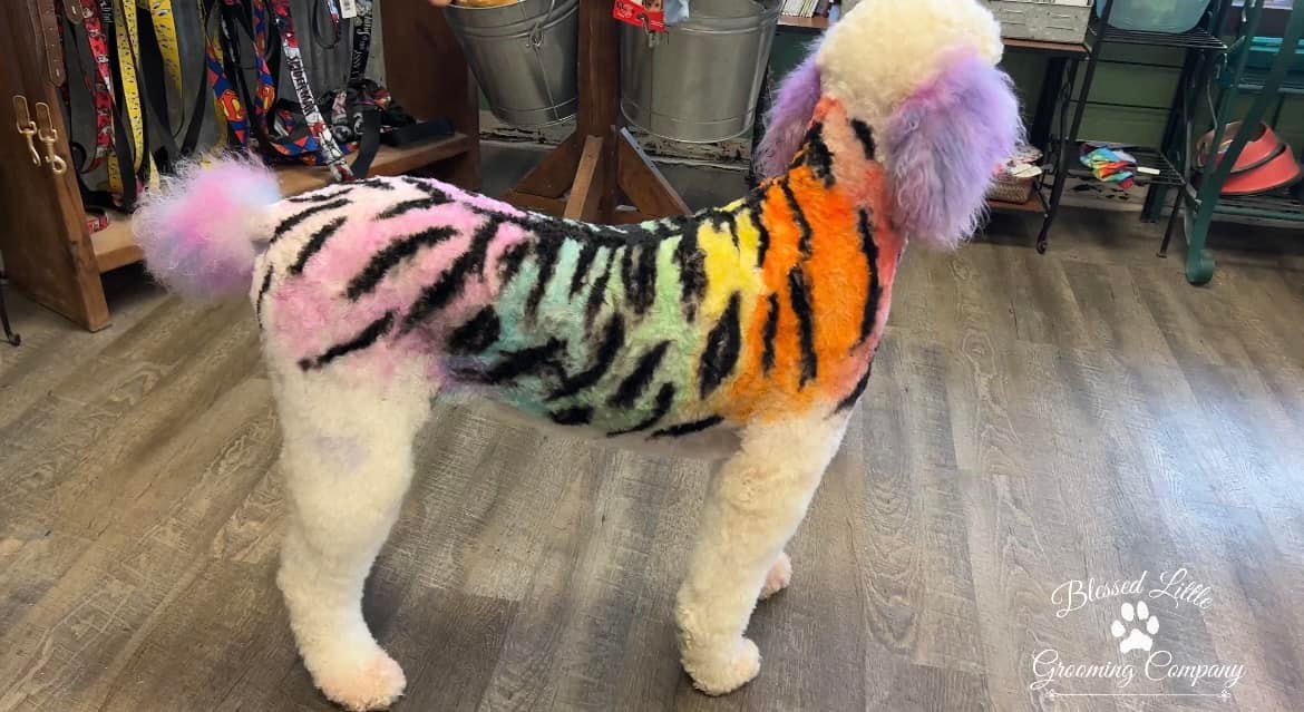safe dog dye for pet grooming