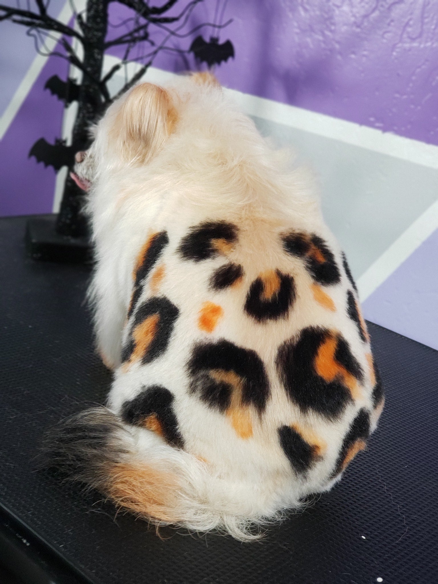 Tinte seguro para mascotas para un concurso creativo de peluquería canina