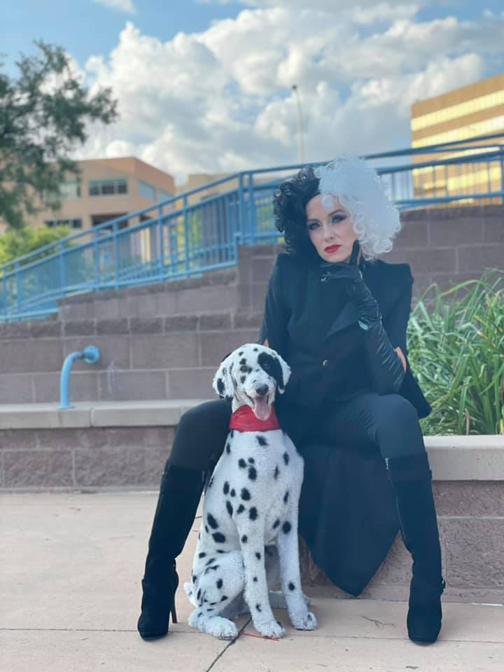 creative grooming contest with safe dog dye dog hair color