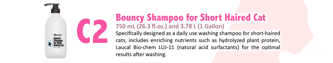 shampoing adapté aux chats pour le toilettage des chats