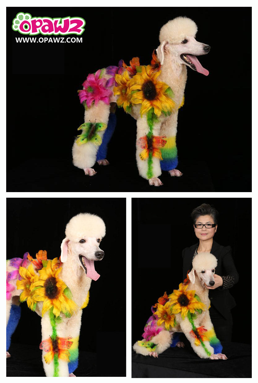 professional creative dog grooming done Betty Huang