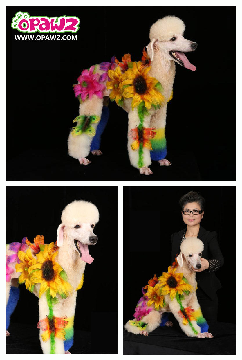 Peluquería canina creativa profesional realizada por Betty Huang