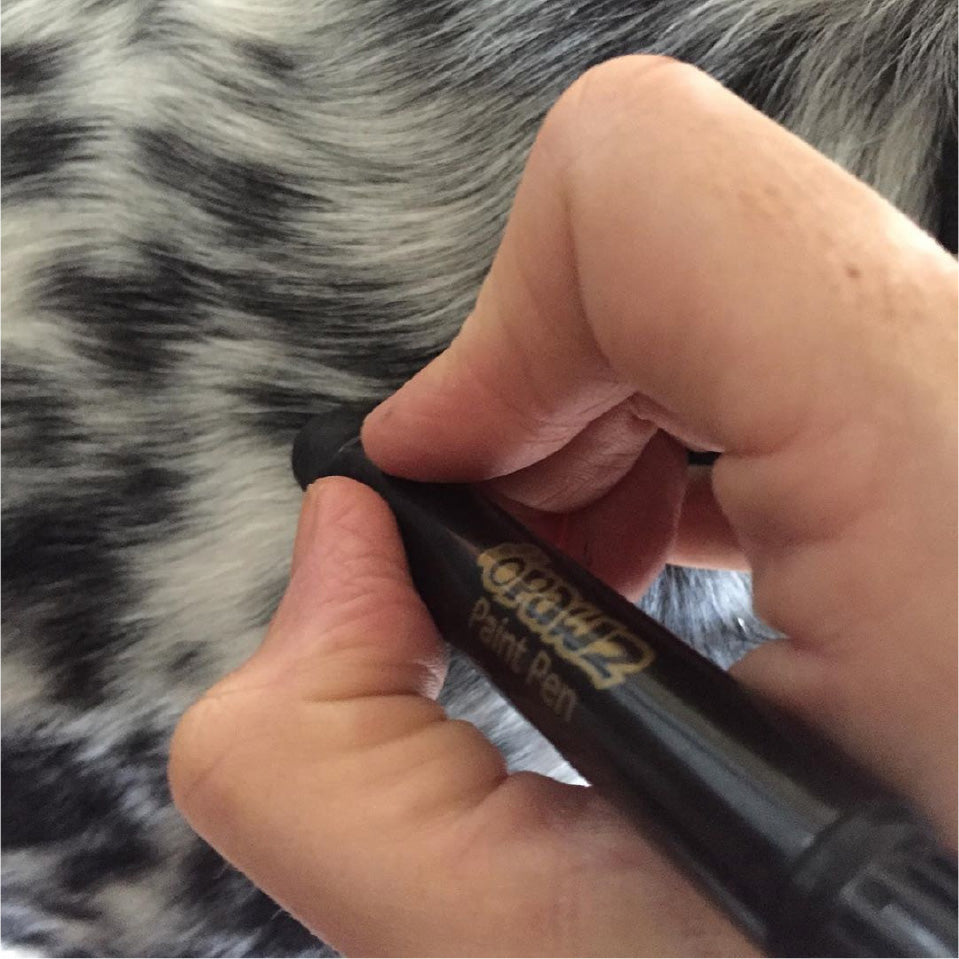 Stylo de peinture temporaire pour chiens, teinture pour poils d'animaux